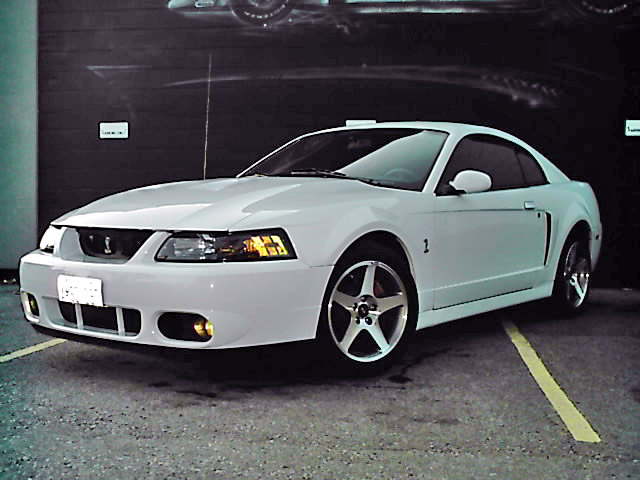 2003 Cobra