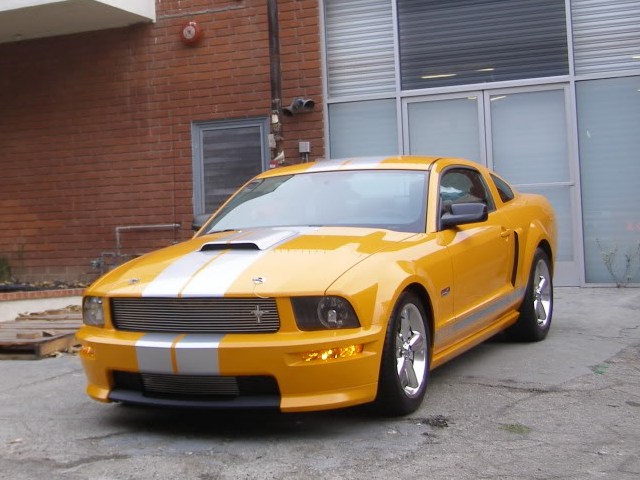 2008 Shelby GT-C