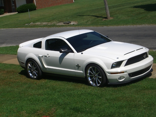 2008 Shleby Super Snake Mustang